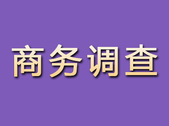 右江商务调查